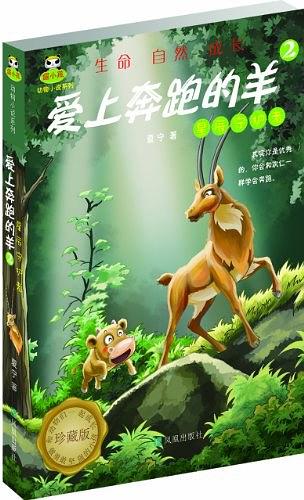 星辰守护者-爱上奔跑的羊-2