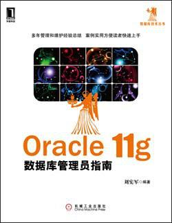 Oracle 11g数据库管理员指南