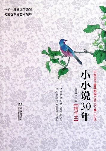 小小说30年精华本