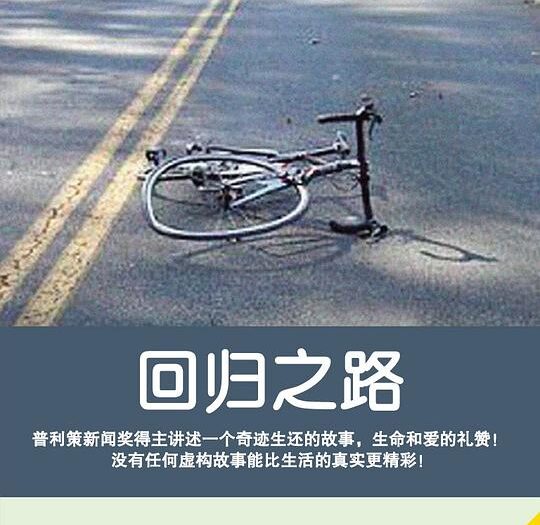 回归之路